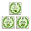 neempackof3